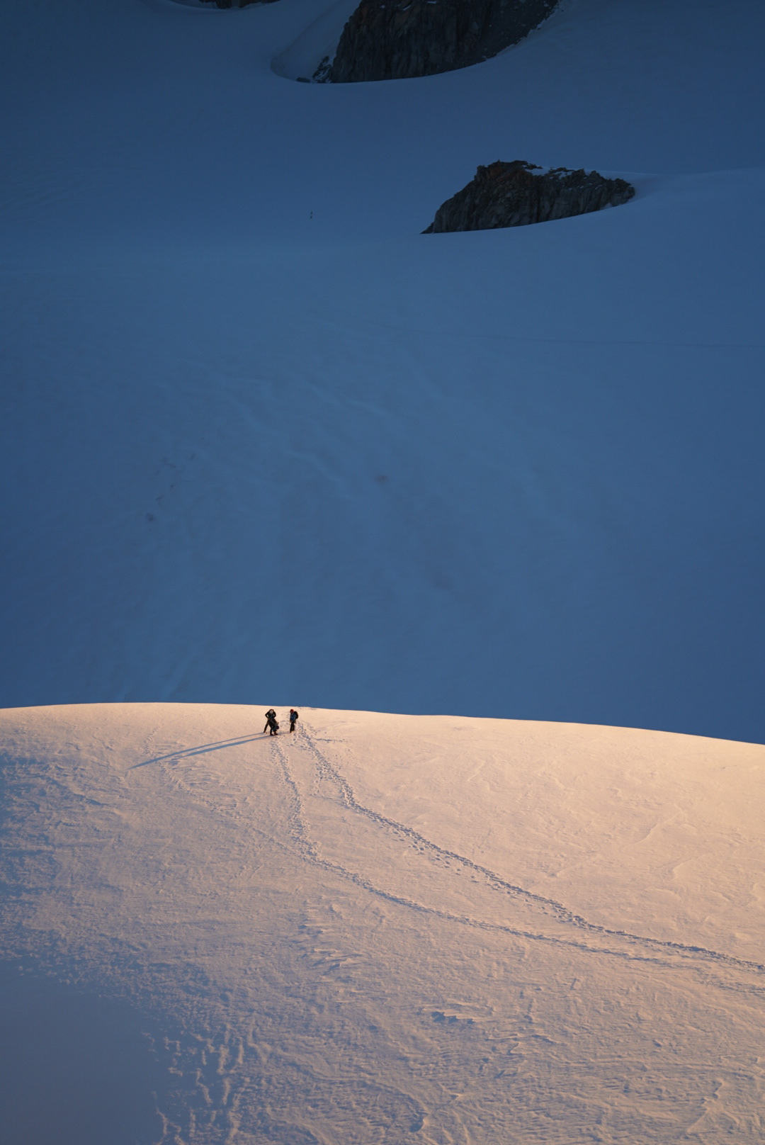 Mont Blanc Chamonix alpinisme escalade mountaineering alpinism arête Forbes aiguille du Chardonnet glacier du Tour refuge Albert 1er