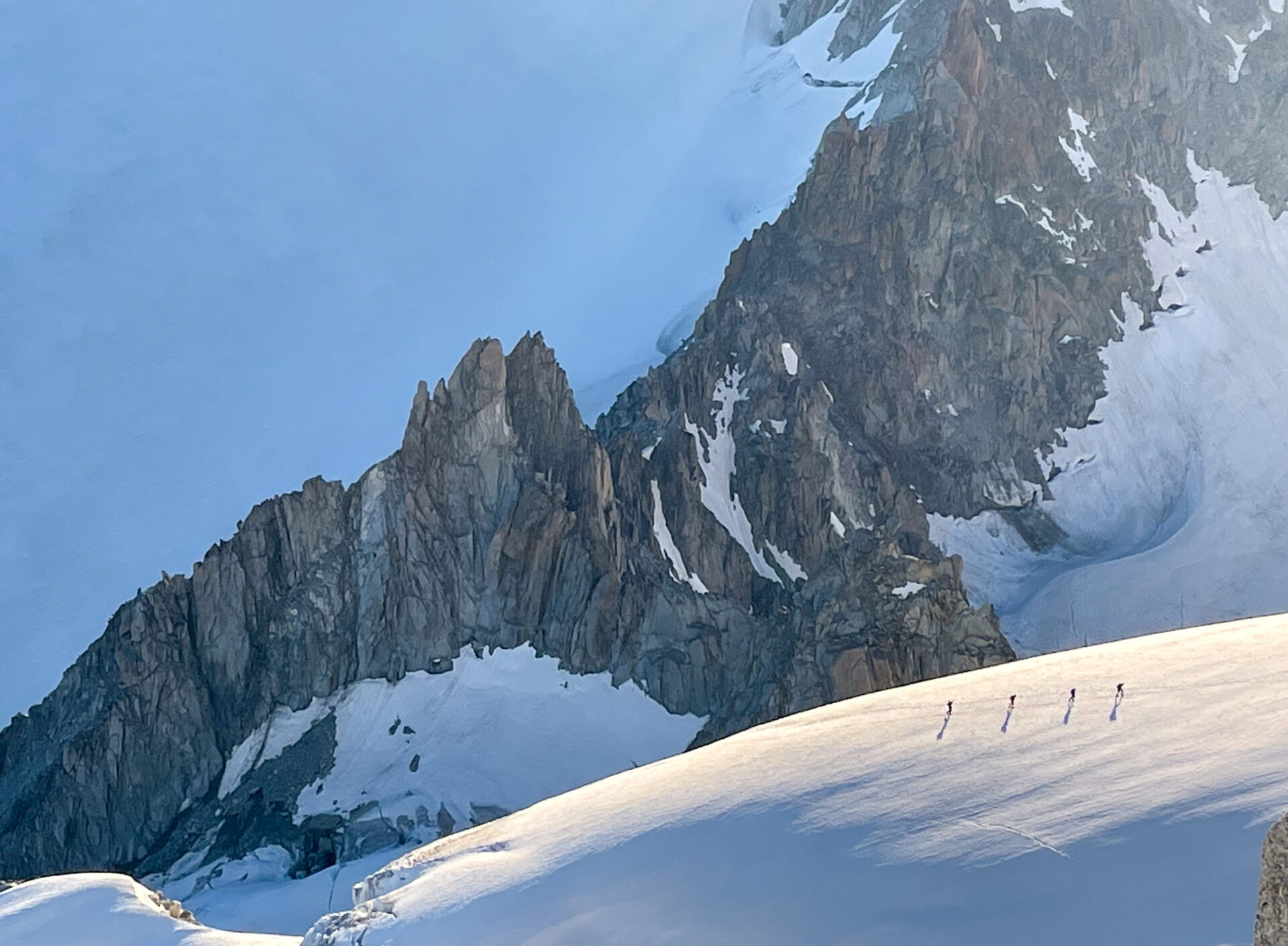 alpinisme Chardonnet arête Forbes glacier Tour Mont Blanc escalade massif refuge Albert 1er