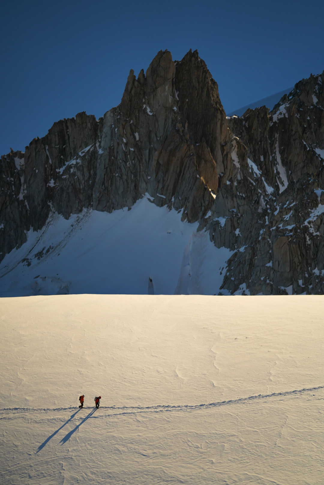 Mont Blanc Chamonix alpinisme escalade mountaineering alpinism arête Forbes aiguille du Chardonnet glacier du Tour refuge Albert 1er