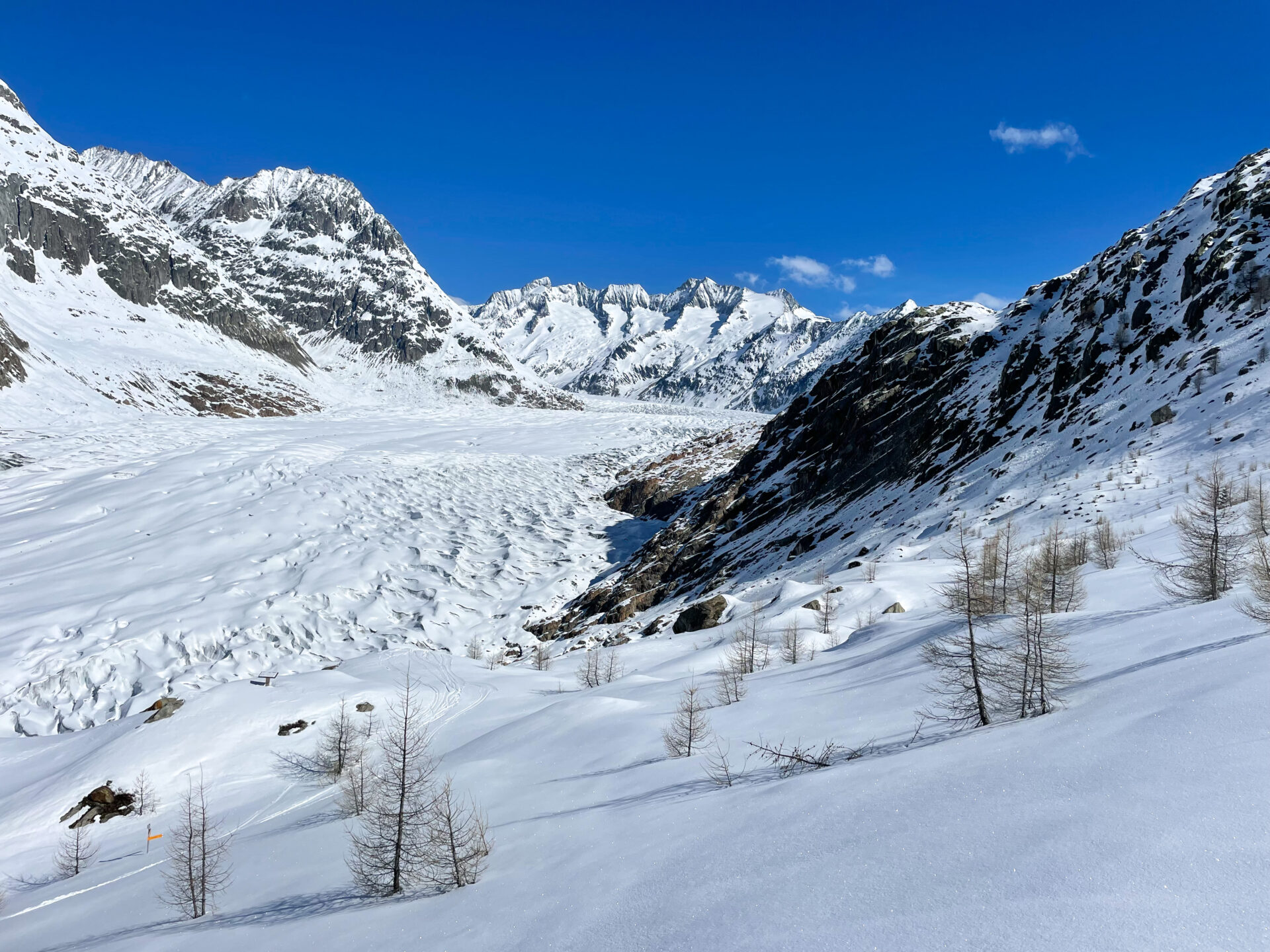 Raid ski Oberland Bernois randonnée alpinisme glacier gletscher Konkordia Monch Jungfrau Aletsch Aletschgletscher hutte