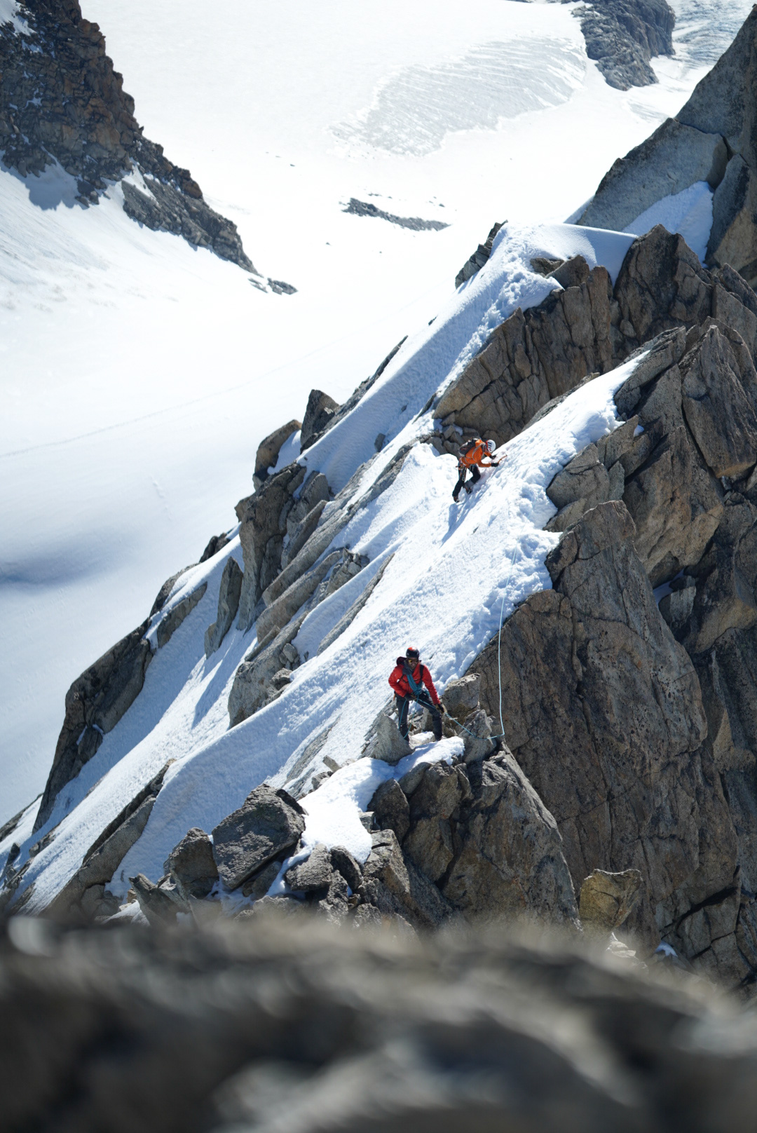 Mont Blanc Chamonix alpinisme escalade mountaineering alpinism arête Forbes aiguille du Chardonnet glacier du Tour refuge Albert 1er