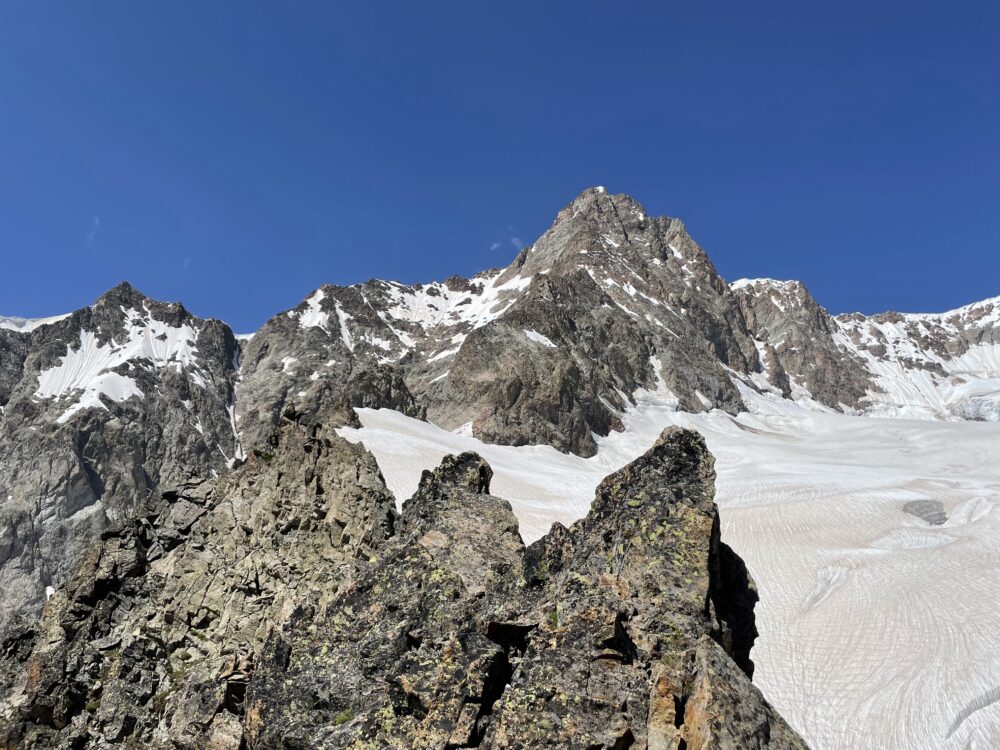 Alpinisme aiguille des Glaciers arête sud est petite Kuffner glacier des Glaciers bivouac Estelette glacier Estelette Lée Blanche