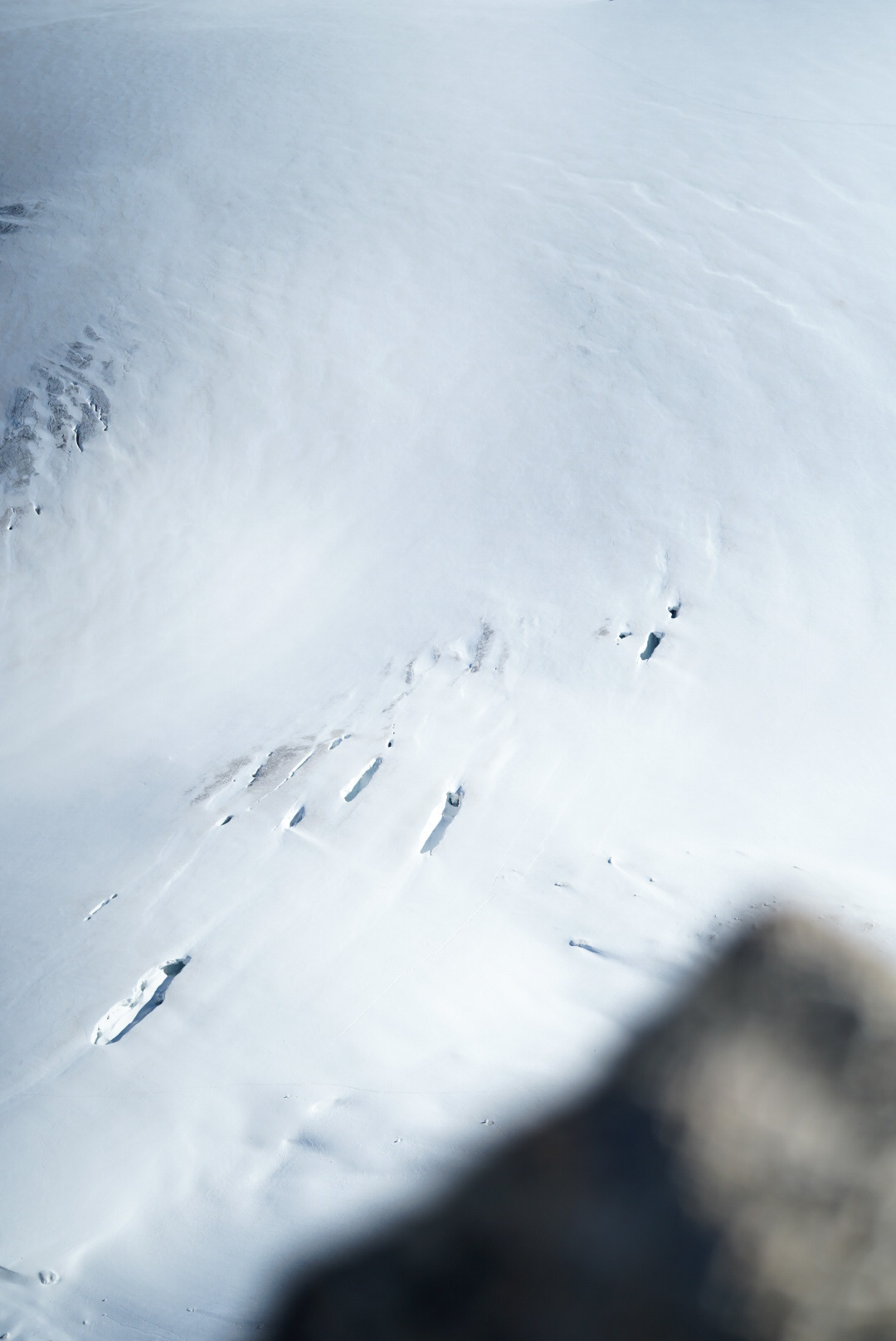 Mont Blanc Chamonix alpinisme escalade mountaineering alpinism arête Forbes aiguille du Chardonnet glacier du Tour refuge Albert 1er