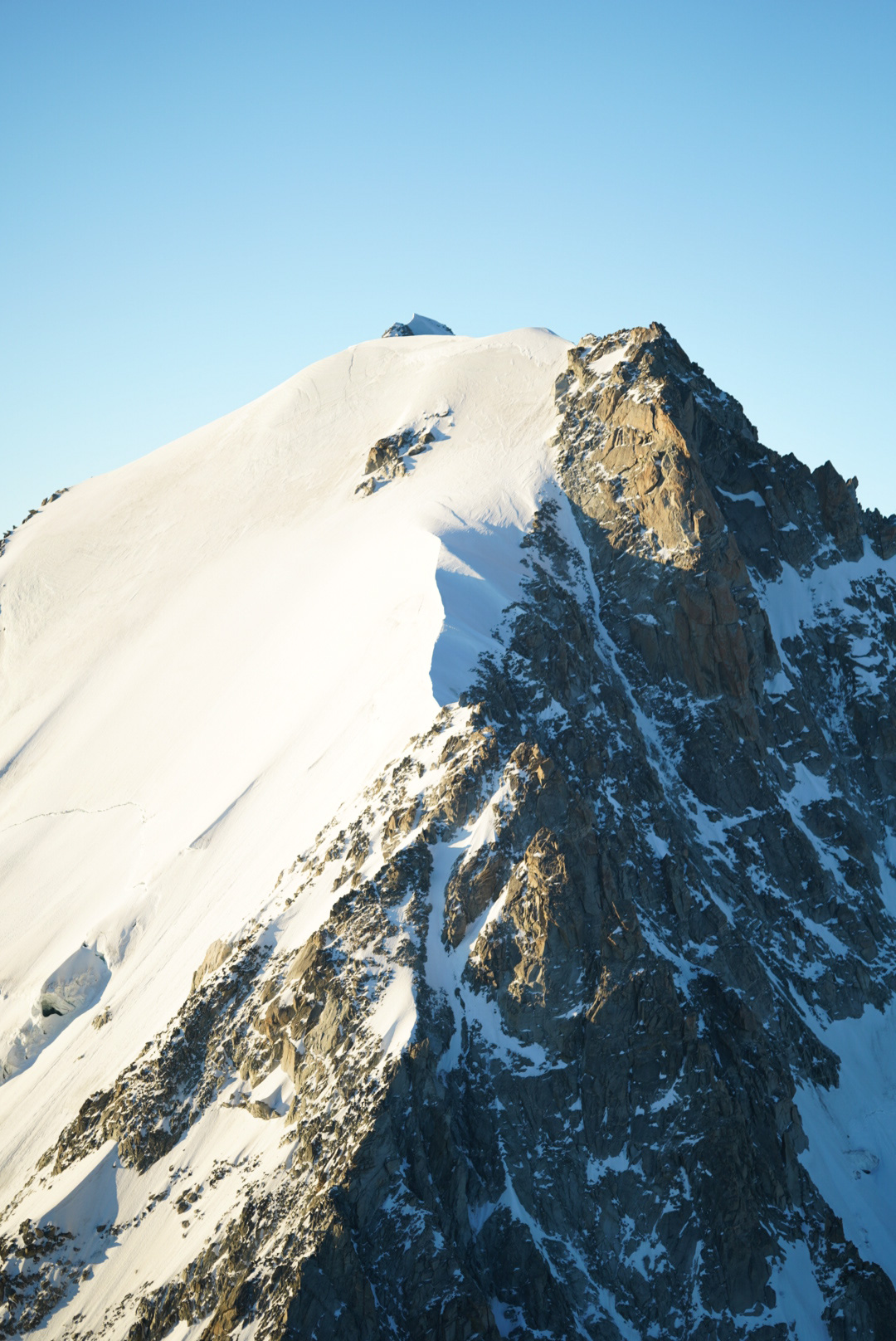 Mont Blanc Chamonix alpinisme escalade mountaineering alpinism arête Forbes aiguille du Chardonnet glacier du Tour refuge Albert 1er