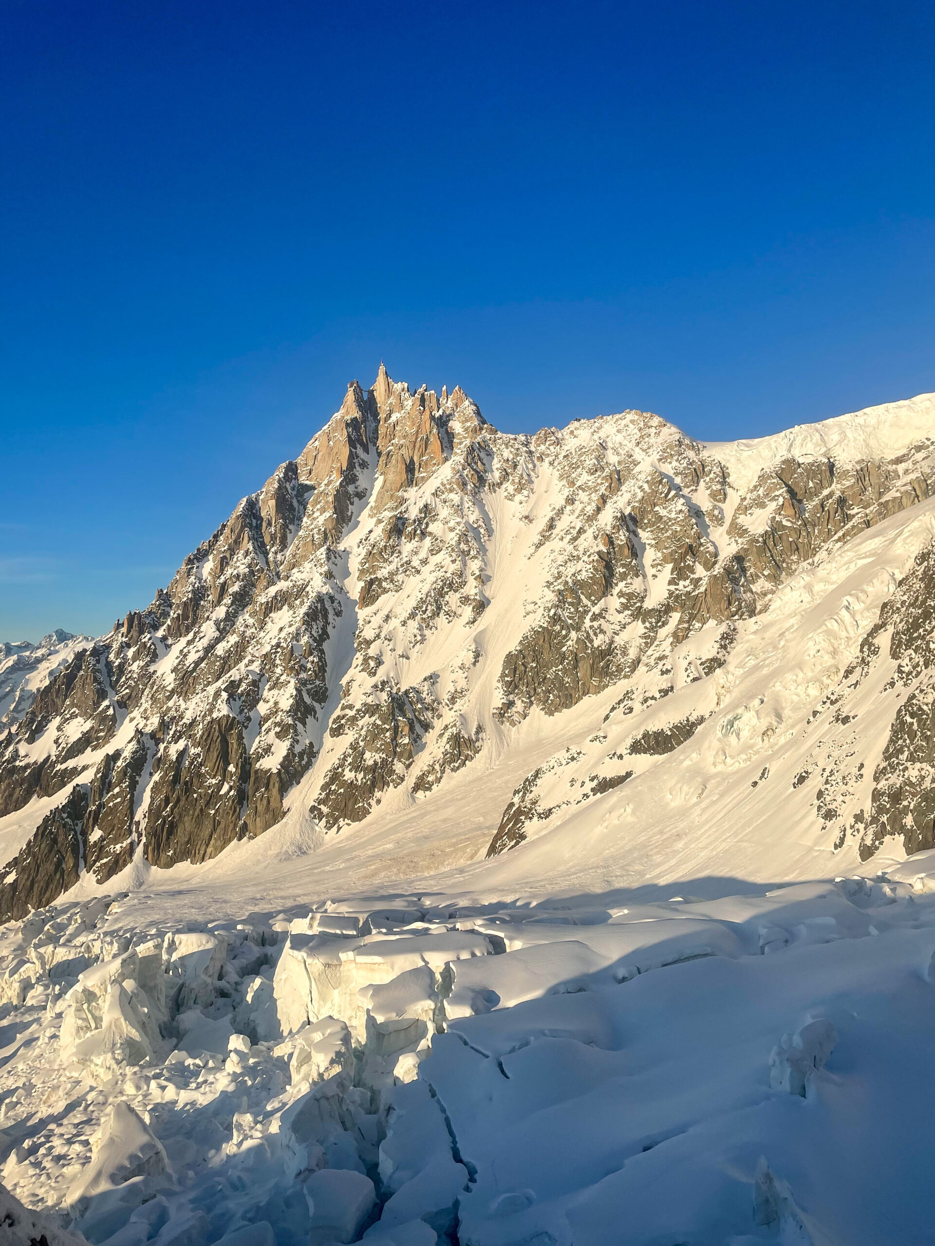 alpinisme ski randonnée Mont Blanc Chamonix Dôme Gouter arête nord Bosses refuge Grands Mulets glacier Bosson face nord Vallot