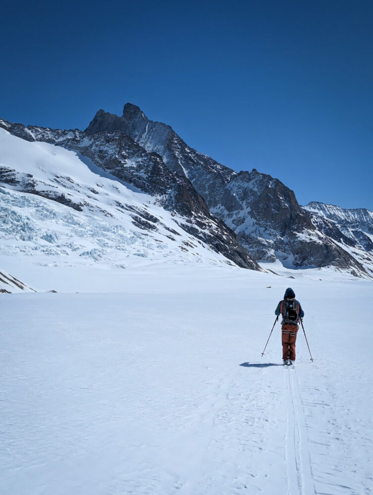 Raid ski Oberland Bernois randonnée alpinisme glacier gletscher Konkordia Monch Jungfrau Aletsch Aletschgletscher hutte