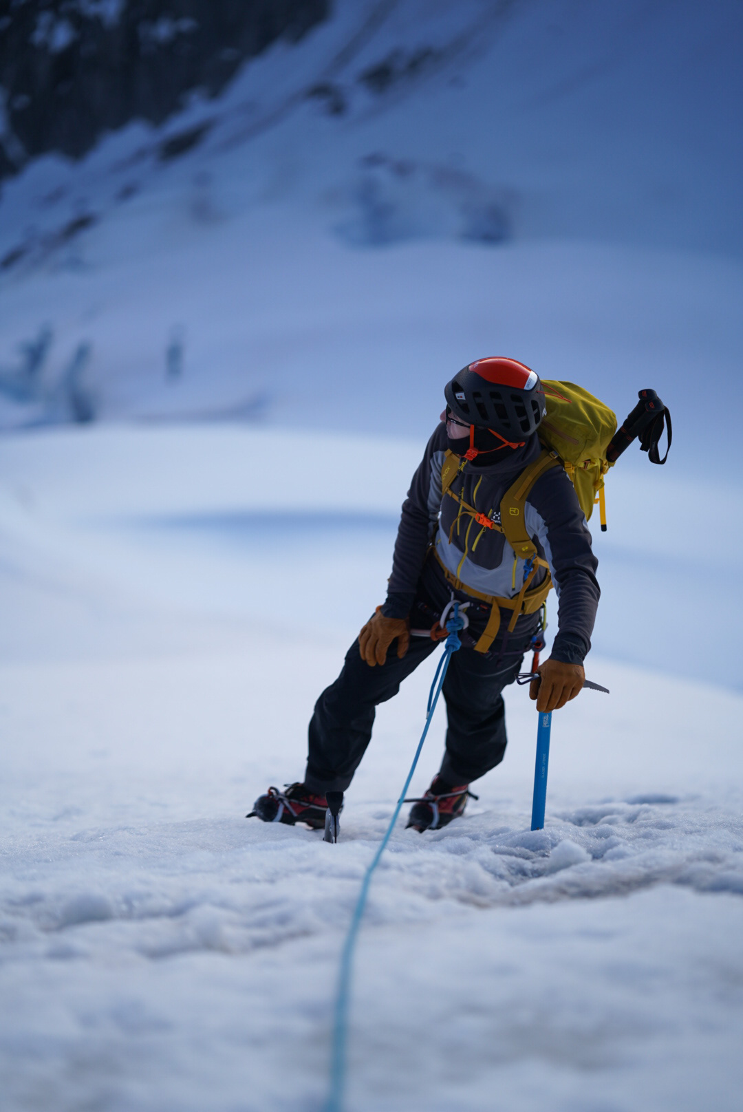 Mont Blanc Chamonix alpinisme escalade mountaineering alpinism arête Forbes aiguille du Chardonnet glacier du Tour refuge Albert 1er