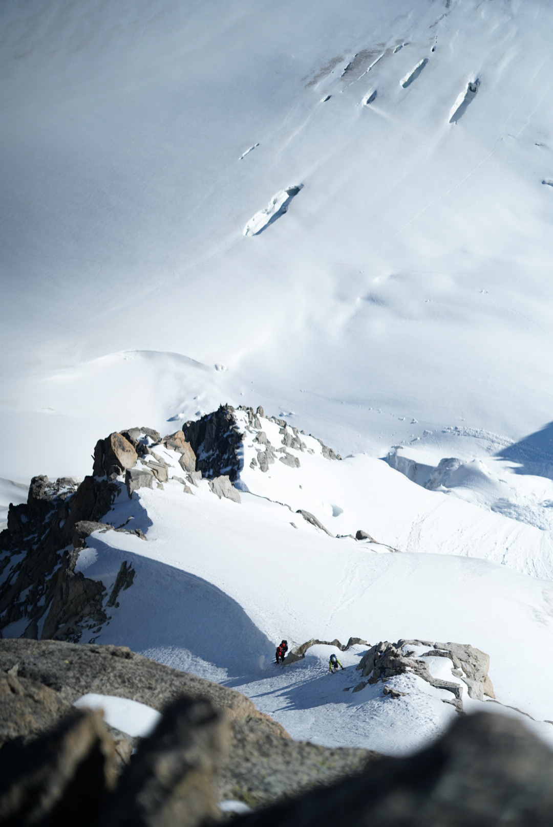 Mont Blanc Chamonix alpinisme escalade mountaineering alpinism arête Forbes aiguille du Chardonnet glacier du Tour refuge Albert 1er