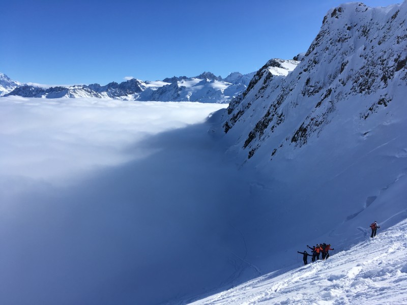 Bel oiseau ski randonnée aiguilles Rouges Mont Blanc