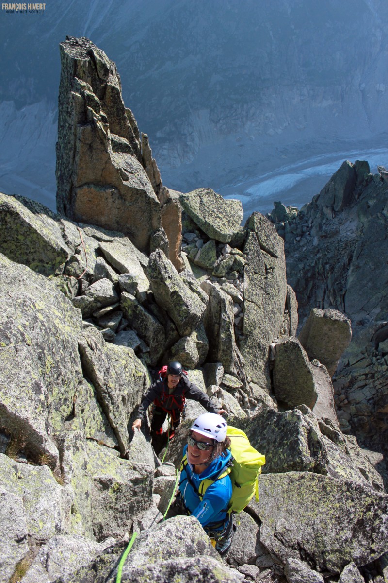 Aiguille de l' M 4