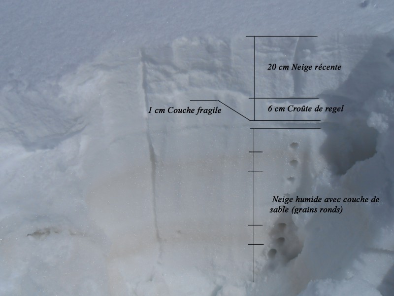 Shéma coupe globale manteaux neigeux Mirantin 2100m SO